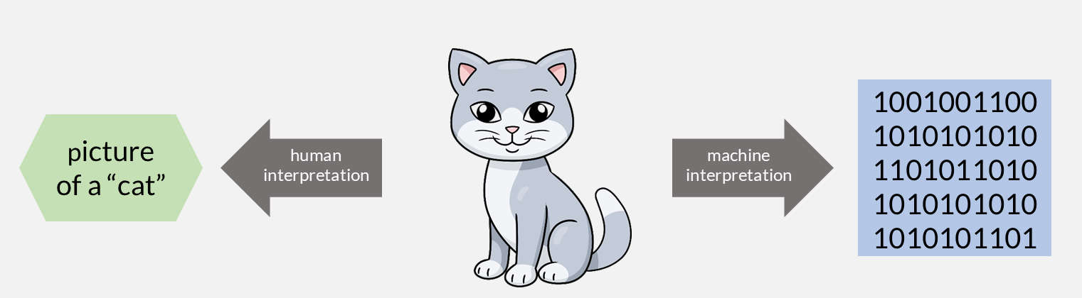 A human sees a “cat”; a machine sees a grid of binary values.