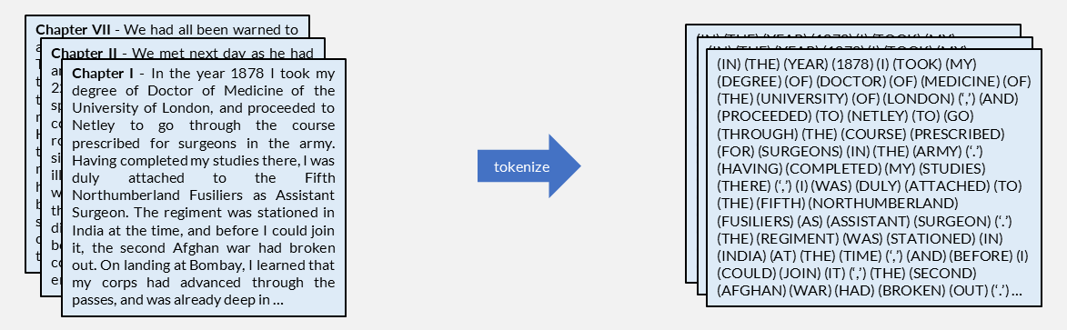 Tokenization: raw text split into individual word-level tokens.
